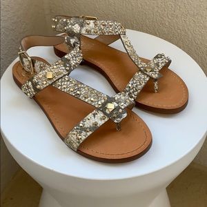 NWT | 6 | leather studded stud sandals